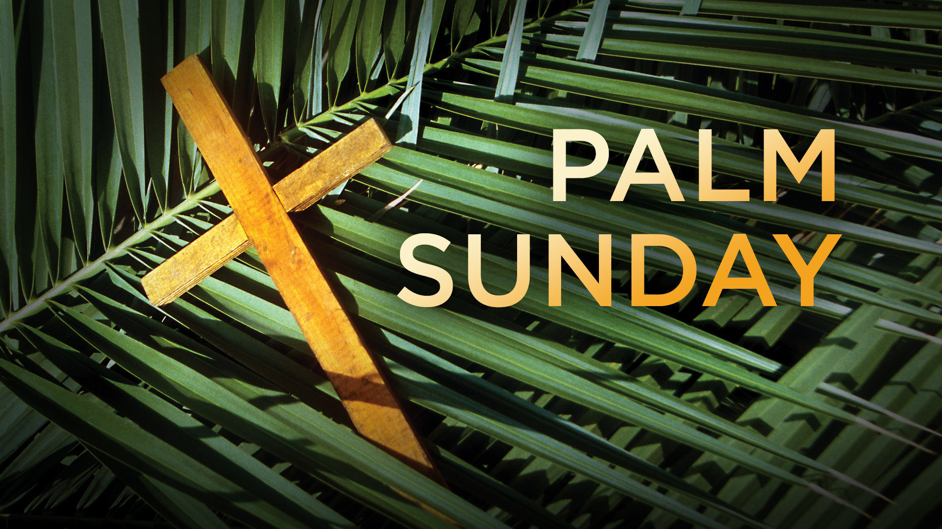 Diocese of Portland | palmsunday4.jpg