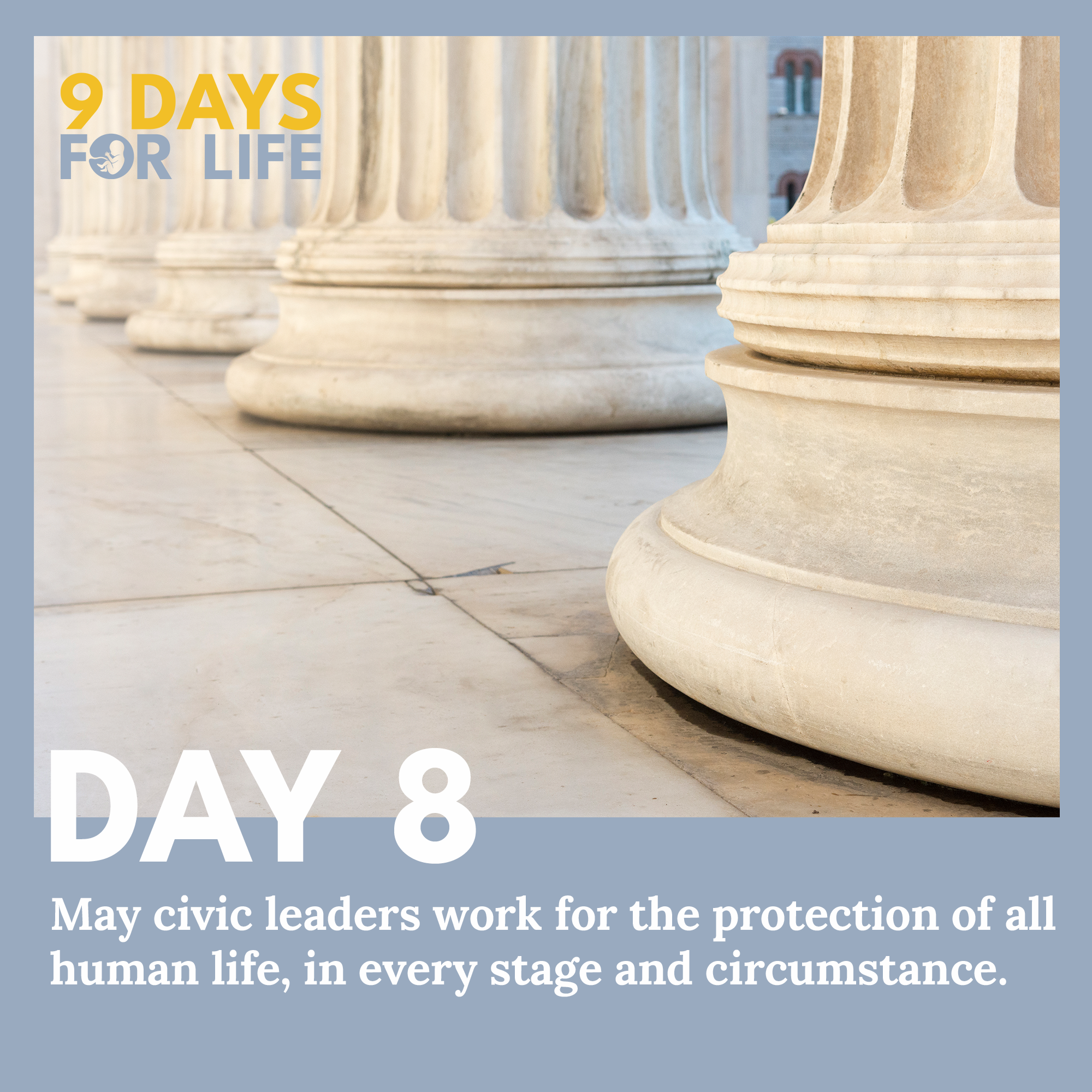 Day 8 - 9 Days for Life - Pillars