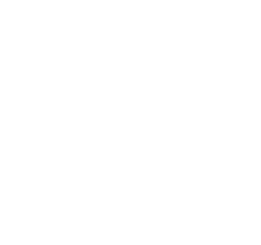 Pilgrims of Hope Logo