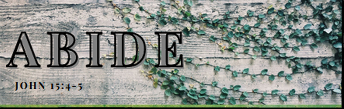 ABIDE Logo