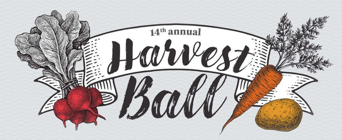 Harvest BalL Banner