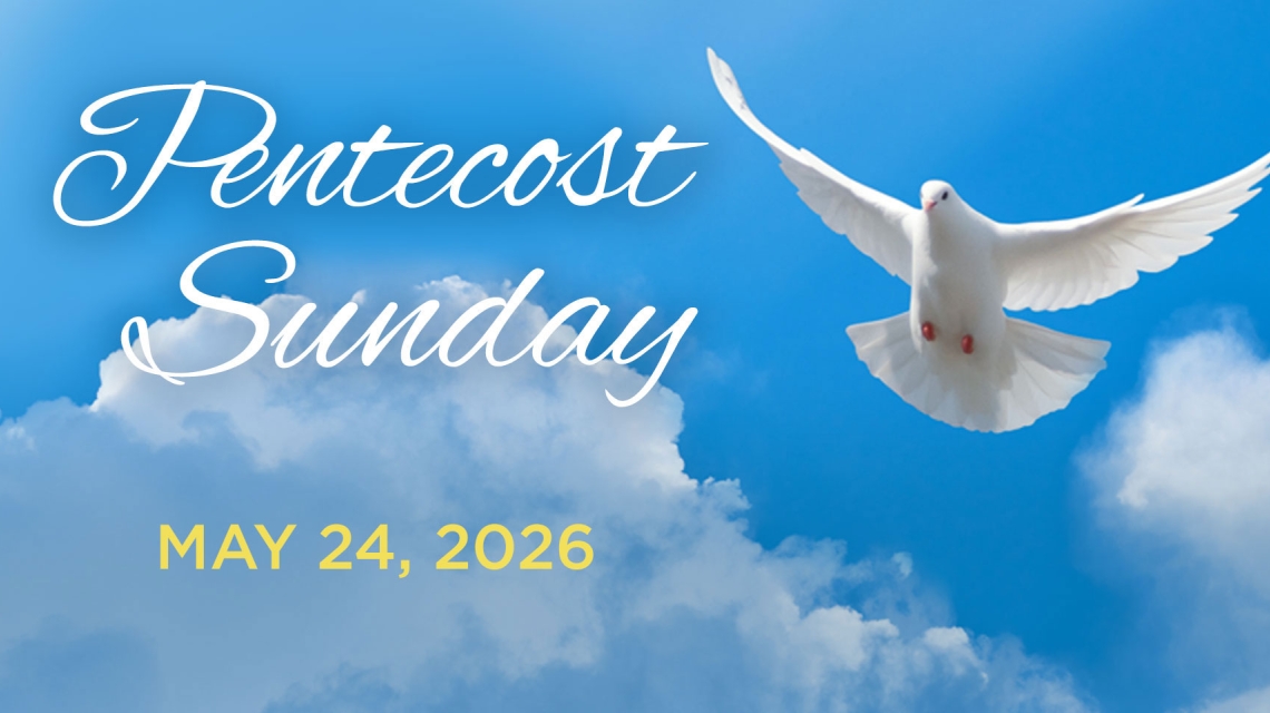 White dove over blue sky with clouds