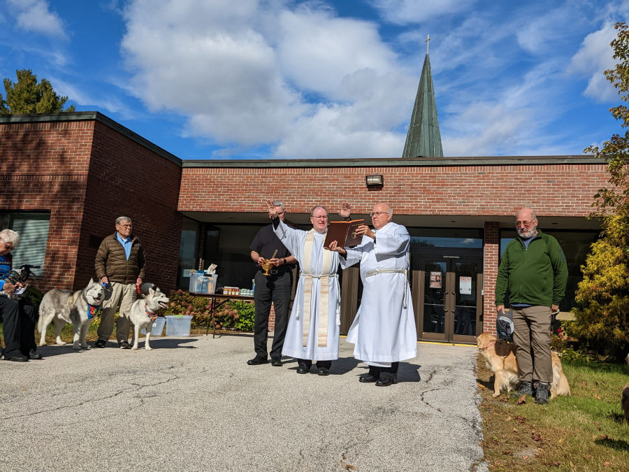 Blessing of the Animals in Bangor 