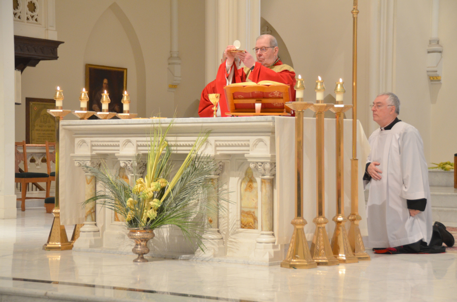 Bishop Deeley celebrates Mass on Palm Sunday in Portland. 