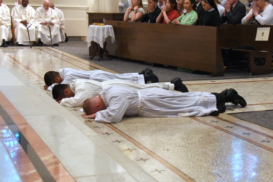 Erin Donlon, Thanh Duc Pham, and Hoa Tien Nguyen lie prostrate.