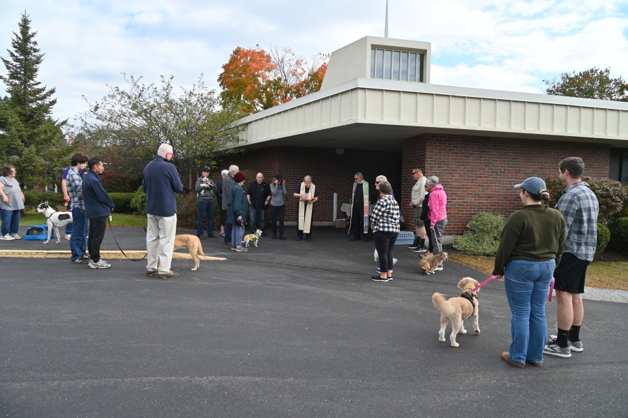 Wide view of gathering