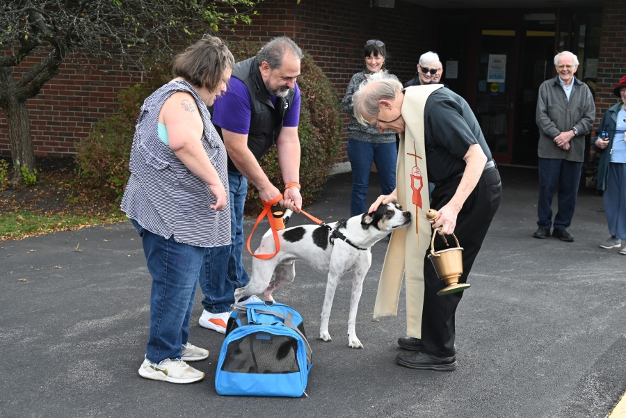 Father Michalowski blesing a dog.