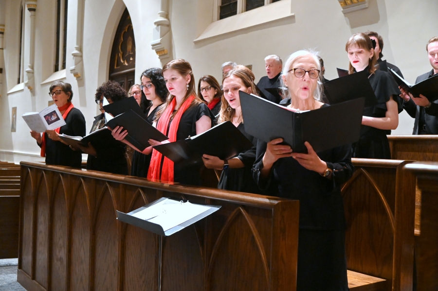 Cathedral choir and scholas