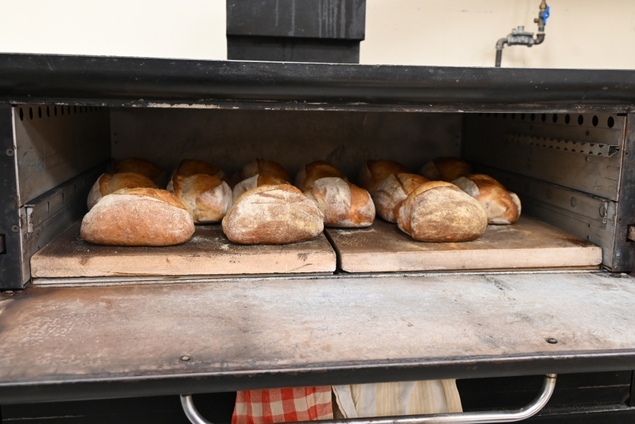 Freshly baked loaves of bread