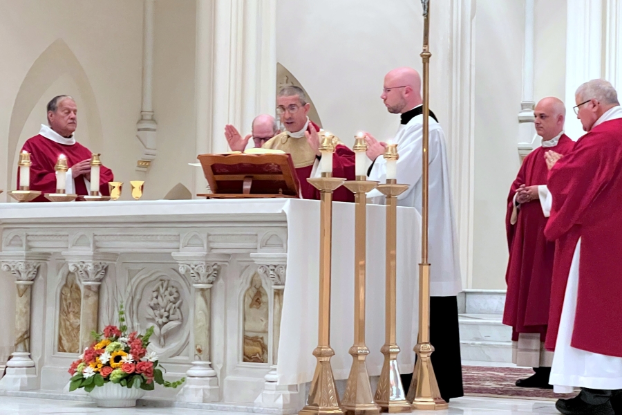 Celebration of the Liturgy of the Eucharist