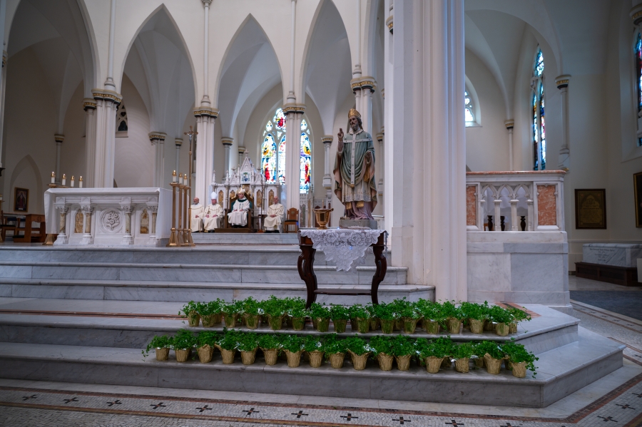 shamrocks around a statue of St. Patrick at the Cathedral of the immaculate conception