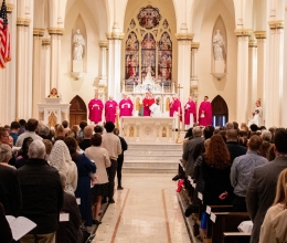 Cathedral of the Immaculate Conception