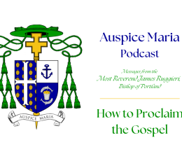 Auspice Maria Podcast, How to proclaim the gospel