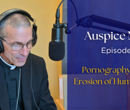 Pornography and the Erosion of Human Dignity - Auspice Maria Episode 18 with Bishop James Ruggieri