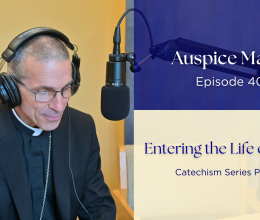 Entering the Life of Christ (Catechism Series Part 10) - Auspice Maria Ep 40