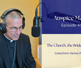 The Church, the Bride of Christ (Catechism Series Part 15) - Auspice Maria Ep. 45