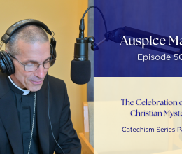 The Celebration of the Christian Mystery (Catechism Series Part 20) - Auspice Maria Ep. 50