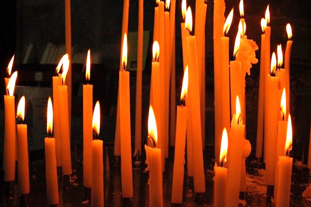 Diocese of Portland News