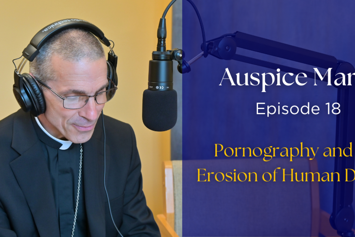 Pornography and the Erosion of Human Dignity - Auspice Maria Episode 18 with Bishop James Ruggieri