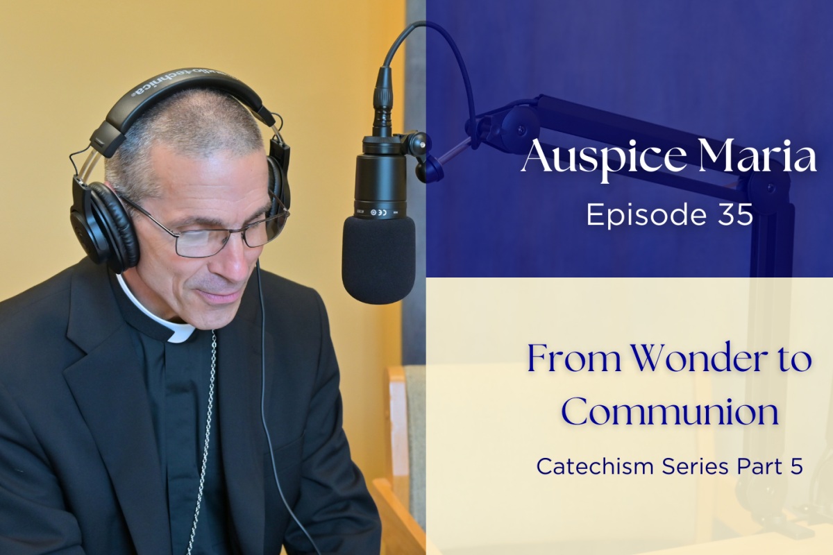 From Wonder to Communion (Catechism Series Part 5) - Auspice Maria Episode 35