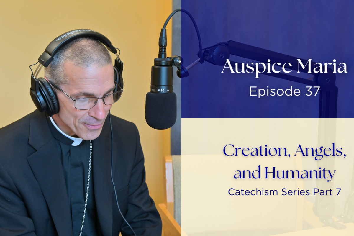 Creation, Angels, and Humanity (Catechism Series Part 7) - Auspice Maria Ep 37