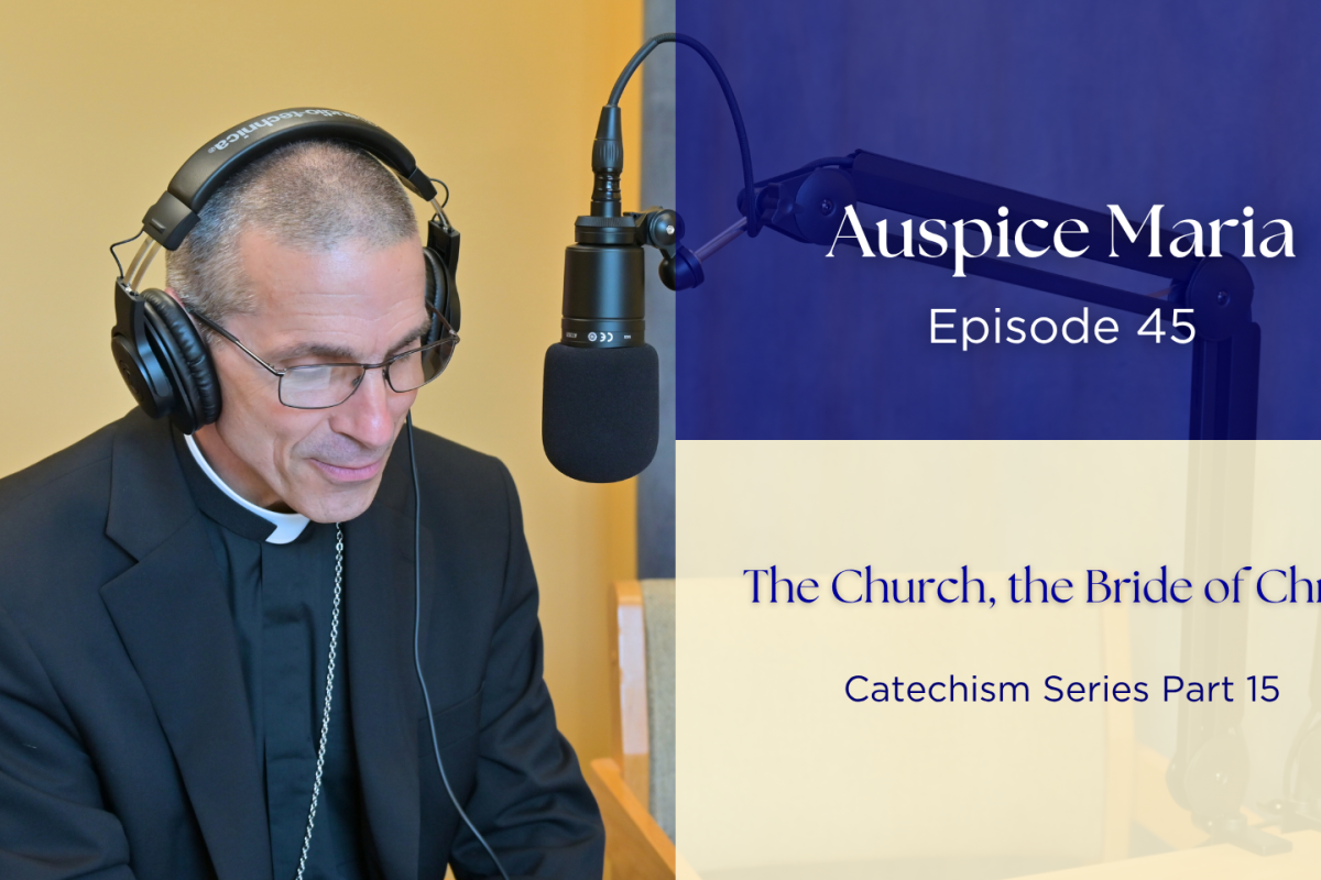 The Church, the Bride of Christ (Catechism Series Part 15) - Auspice Maria Ep. 45